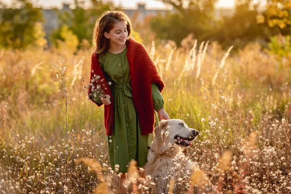 Doğada köpek besleyen genç bir kız. — Stok fotoğraf