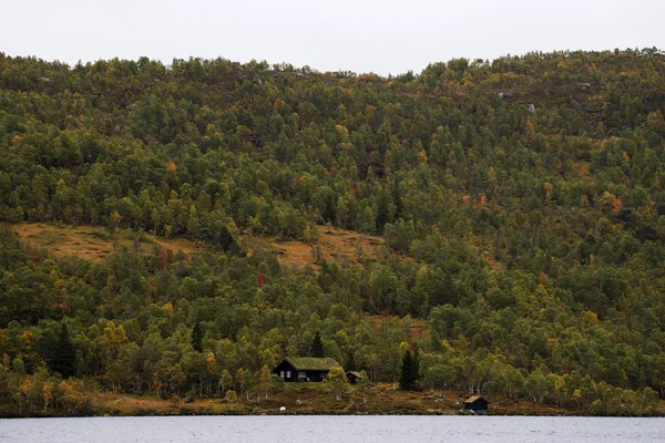 Norvegese Casa Verde Con Erba Foto Stock