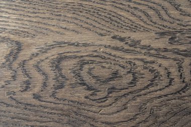 Doğal Meşe desen. Makro meşe doku bir kadeh. Merhaba res fotoğraf