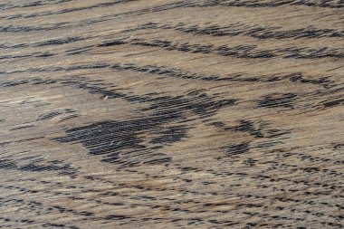 Doğal Meşe desen. Makro meşe doku bir kadeh. Merhaba res fotoğraf