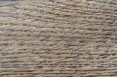 Doğal Meşe desen. Makro meşe doku bir kadeh. Merhaba res fotoğraf