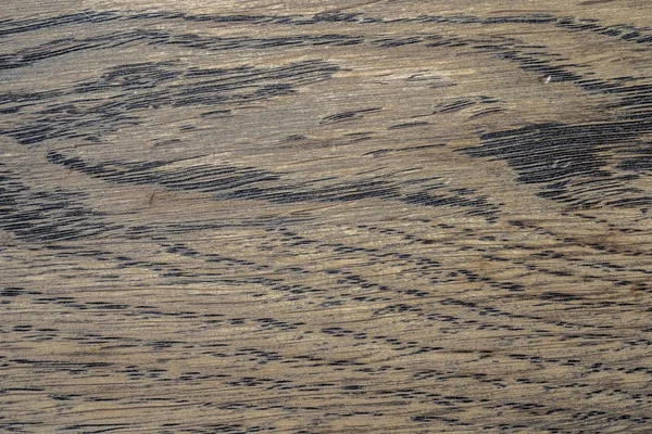 Doğal Meşe desen. Makro meşe doku bir kadeh. Merhaba res fotoğraf