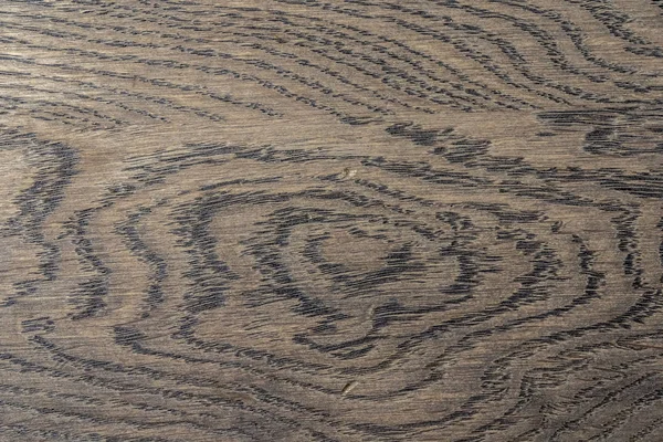 Doğal Meşe desen. Makro meşe doku bir kadeh. Merhaba res fotoğraf