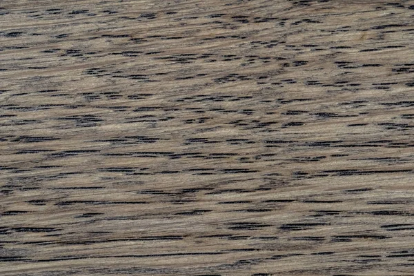 Doğal Meşe desen. Makro meşe doku bir kadeh. Merhaba res fotoğraf