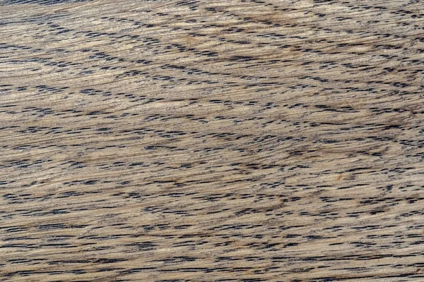 Doğal Meşe desen. Makro meşe doku bir kadeh. Merhaba res fotoğraf