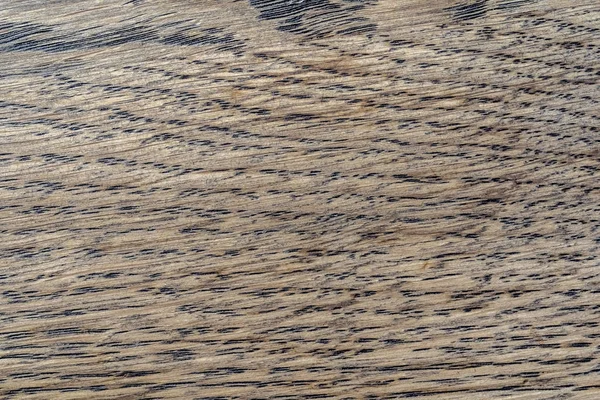 Doğal Meşe desen. Makro meşe doku bir kadeh. Merhaba res fotoğraf