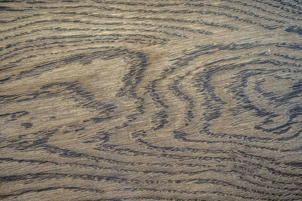 Doğal Meşe desen. Makro meşe doku bir kadeh. Merhaba res fotoğraf