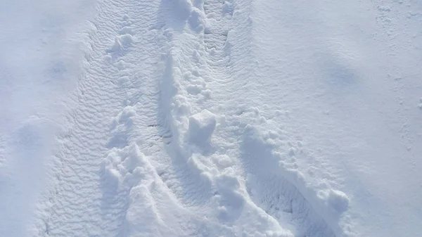 Footsteps Snow Background — Stock Photo, Image