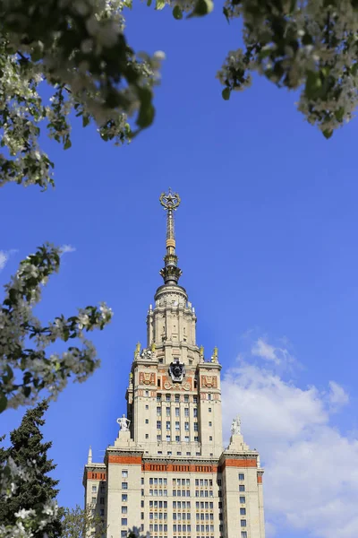 Moscow State University Symbolism Ussr Sky Background Branch Flowering Trees — Stock Photo, Image