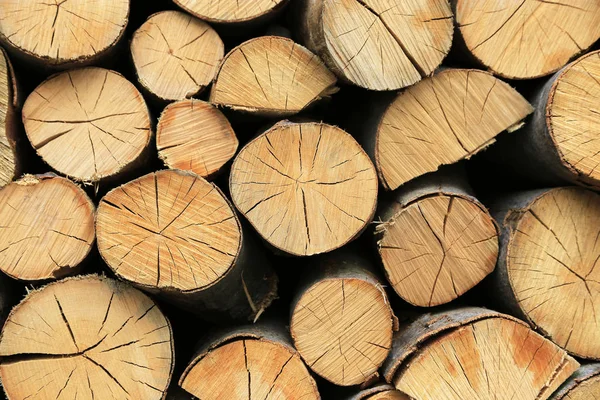 Hromada dříví stohovat nasekané dřevo kmenů — Stock fotografie