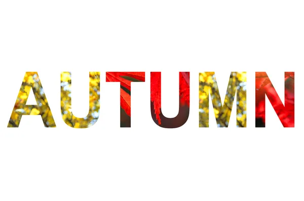 Woord herfst met een heldere bladeren van Maple Tree patroon — Stockfoto