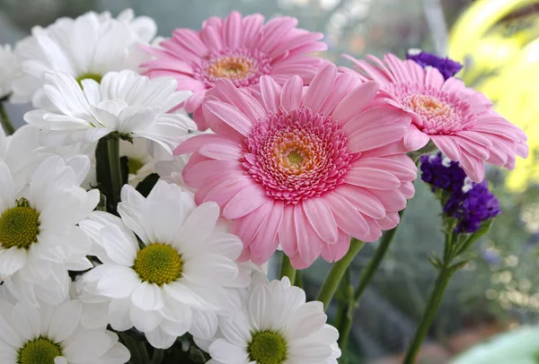 Ramo de hermosas flores delicadas —  Fotos de Stock