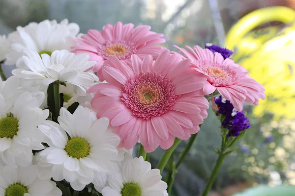 Bouquet de belles fleurs — Photo