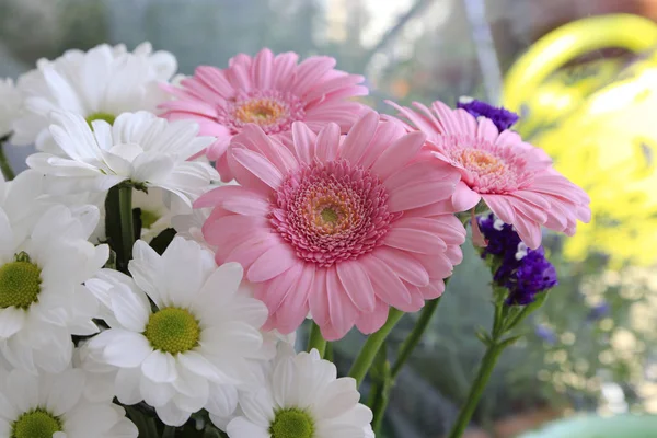 Ramo de hermosas flores —  Fotos de Stock