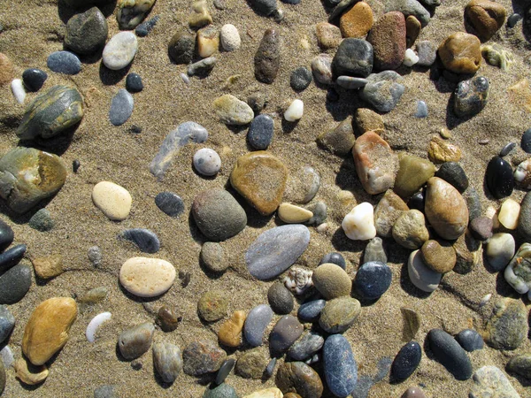 Natte zee kiezels op het zand — Stockfoto