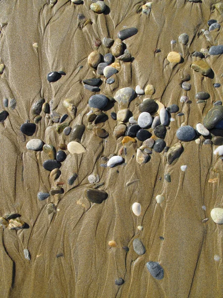 Natte zee kiezels op het zand — Stockfoto
