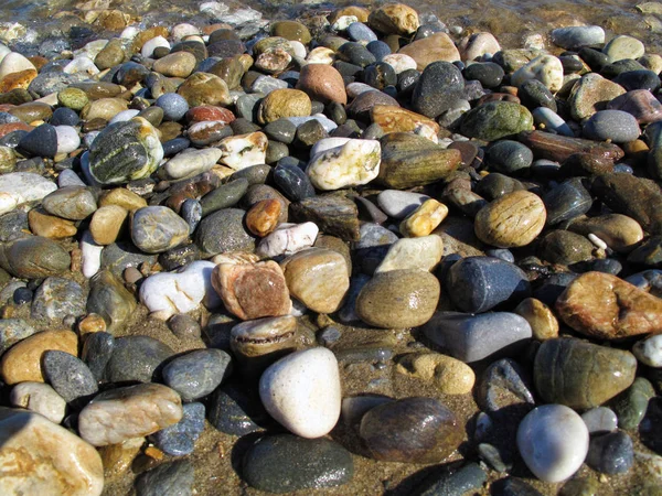 Natte verschillende zee kiezels op het strand — Stockfoto