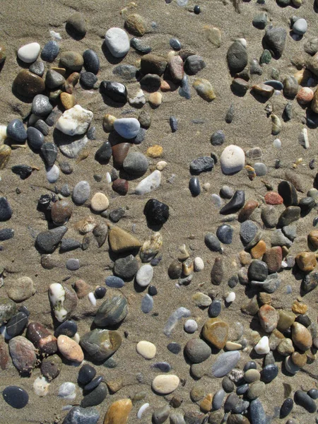 Natte verschillende zee kiezels op het zandstrand — Stockfoto