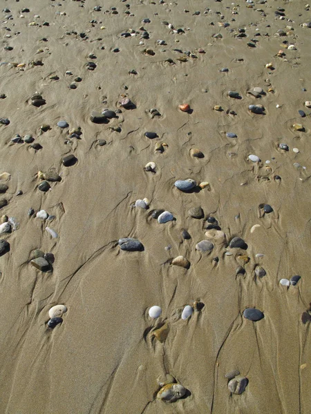 Различные морские гальки на мокром песке на пляже — стоковое фото