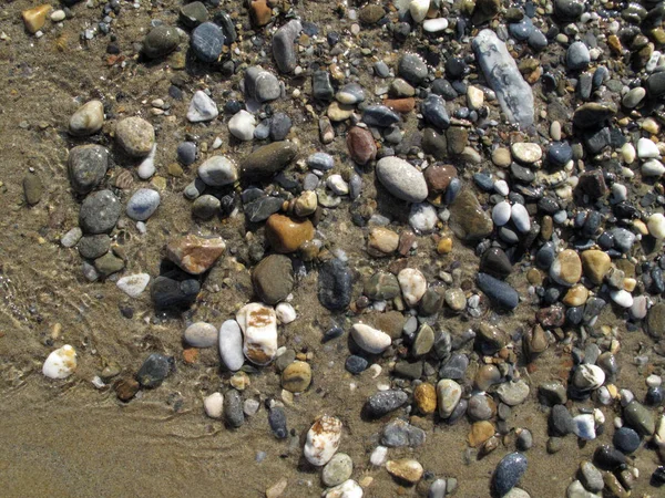 Natte verschillende zee kiezels op het strand — Stockfoto