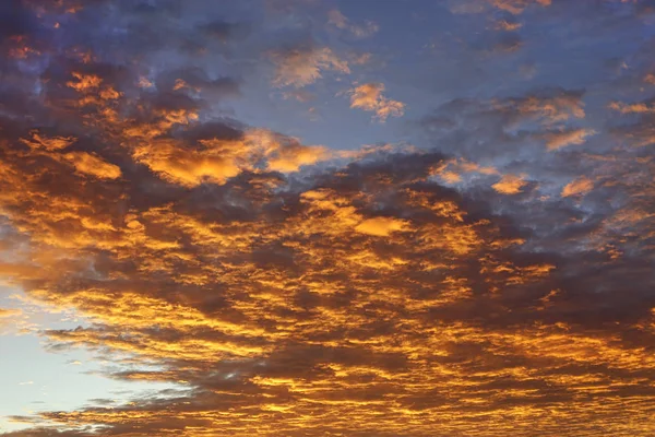 Драматическое оранжевое небо — стоковое фото
