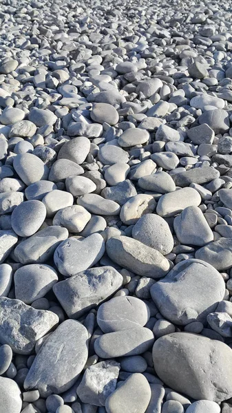Natureza fundo de seixos do mar cinza — Fotografia de Stock