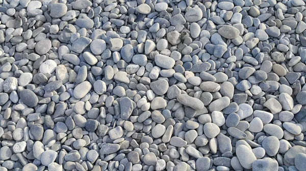 Natuur achtergrond van grijze zee kiezelstenen — Stockfoto