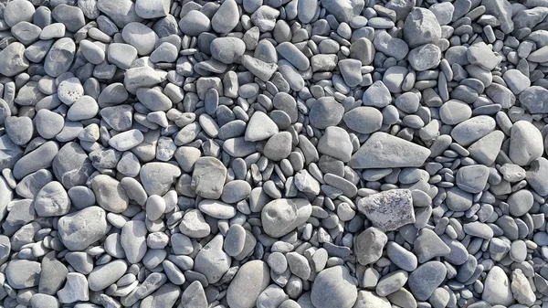 Fond de cailloux de mer gris — Photo