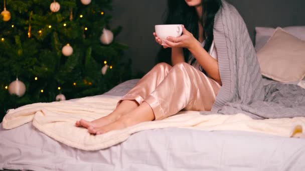 Portrait of young beautiful woman with decorated tree. New years eve — Stock Video