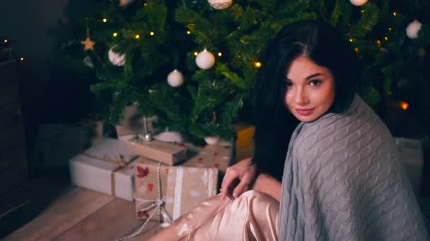 Retrato de mujer joven y hermosa con árbol decorado. Nochevieja — Vídeo de stock