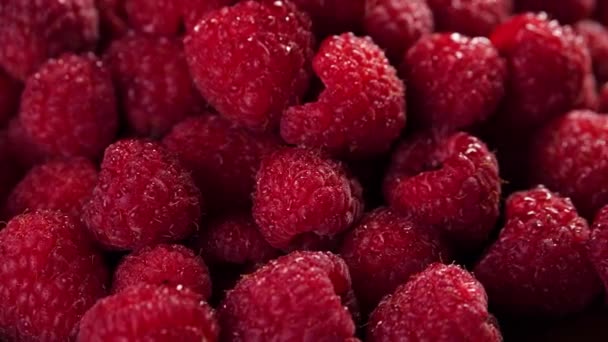 Heap of raspberries — Stock Video