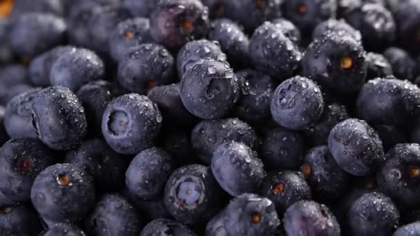 Heap of blueberries — Stock Video