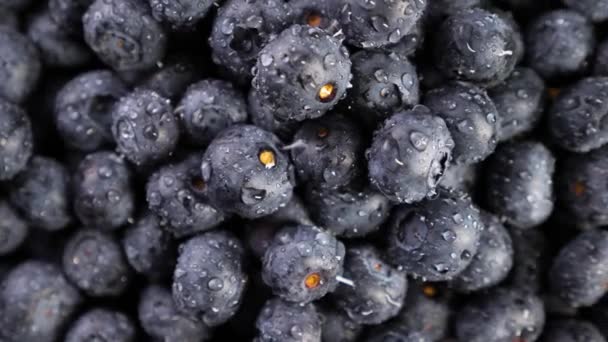 Heap of blueberries — Stock Video