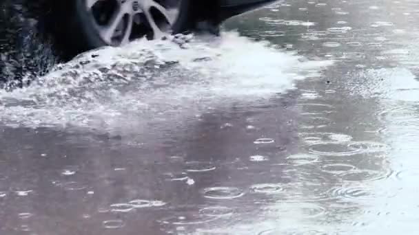 Gotas de lluvia onduladas en cámara lenta — Vídeo de stock