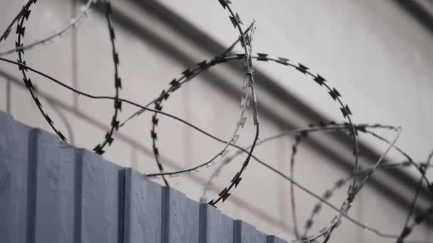 Barbed wire on prison wall — Stock Video