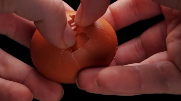 卵を折る黒の背景. — ストック動画