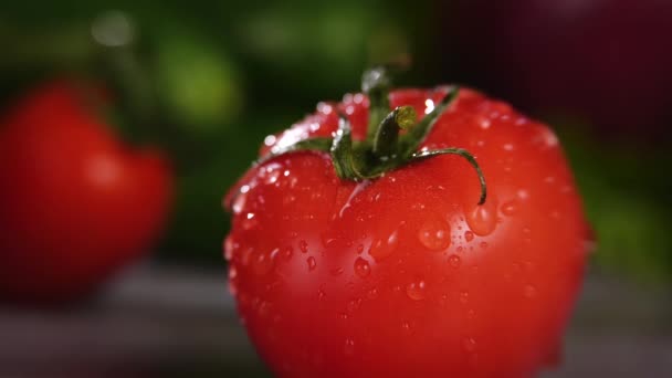 Ensalada vegetal ingridientes — Vídeos de Stock