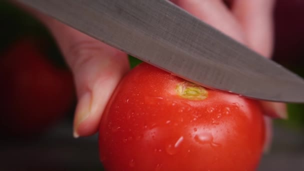 Növényi saláta ingidiens — Stock videók