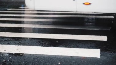 Islak yaya geçidinde otobüs sürüyor.