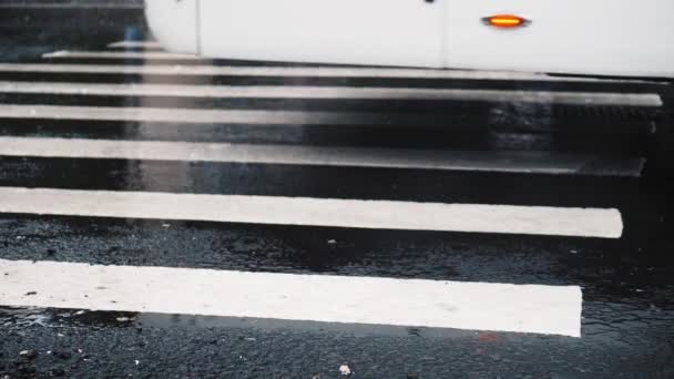 Автобус едет по мокрому переходу — стоковое видео