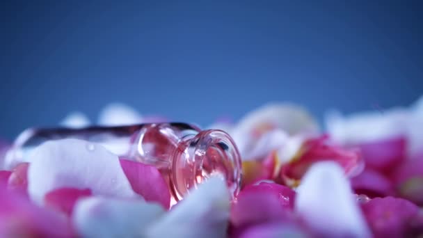 Bottle of perfume falling on petals — Stock Video