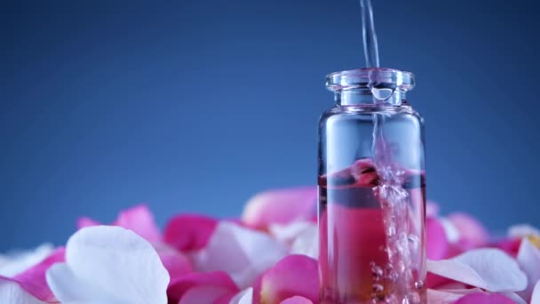 Fles parfum spinnen op paneel met bloemblaadjes — Stockvideo
