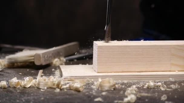 Anonymní řemeslník dělá díru ve dřevě — Stock video
