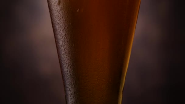 Druppels water op glas bier — Stockvideo