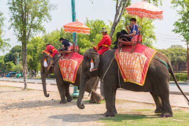 Ayutthaya, Tayland - 22 Mart 2018: bir yaz günü antik kentin Ayutthaya, Tayland bir fil sürme turist