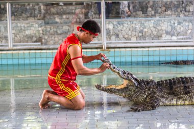 Pattaya, Tayland - 29 Mart 2018: Timsah gösterisinde bir yaz günü Pattaya, Tayland