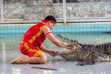 Pattaya, Tayland - 29 Mart 2018: Timsah gösterisinde bir yaz günü Pattaya, Tayland