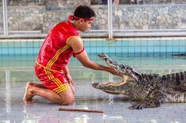 Pattaya, Tayland - 29 Mart 2018: Timsah gösterisinde bir yaz günü Pattaya, Tayland