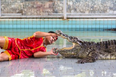 Pattaya, Tayland - 29 Mart 2018: Timsah gösterisinde bir yaz günü Pattaya, Tayland