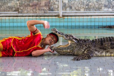 Pattaya, Tayland - 29 Mart 2018: Timsah gösterisinde bir yaz günü Pattaya, Tayland